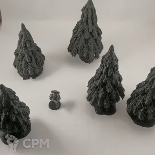 Описание картинки Хвойные Деревья - Комплект из 5 от Terrain Print по цене 1 000руб | Свободный Рынок Миниатюр - СРМ