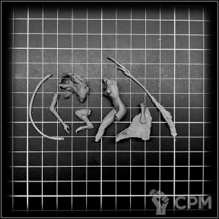 Описание картинки Kainda the Cheetah Woman от OldHammer Мастерская по цене 500руб | Свободный Рынок Миниатюр - СРМ