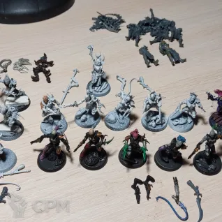 Описание картинки Wyches от fhtagn по цене 3 500руб | Свободный Рынок Миниатюр - СРМ