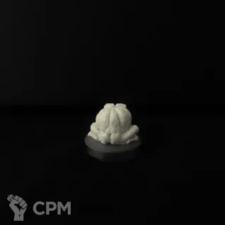 Описание картинки Сквиготыква от Greed's storehouse по цене 400руб | Свободный Рынок Миниатюр - СРМ