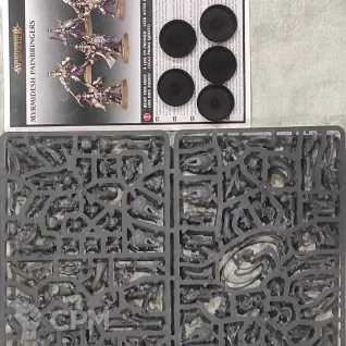 Описание картинки Symbaresh Twinsouls Myrmidesh Painbringers от Магазин Хобби по цене 5 000руб | Свободный Рынок Миниатюр - СРМ