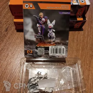 Описание картинки Atalanta, Agema's NCO v.1 от Inzer1509 по цене 1 650руб | Свободный Рынок Миниатюр - СРМ