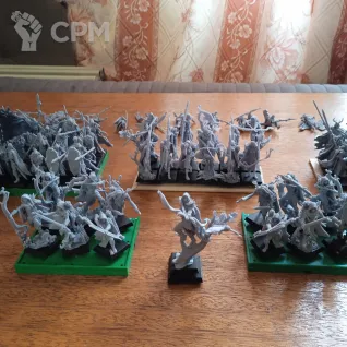 Описание картинки Армия Лесных Эльфов - Wood Elves (TOW) / Sylvan Elves (T9A) от Syryus по цене 23 175руб | Свободный Рынок Миниатюр - СРМ