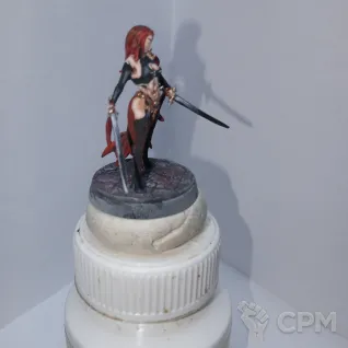 Описание картинки Миниатюра для ДнД "Девушка с двумя мечами" от infer134 по цене 1 200руб | Свободный Рынок Миниатюр - СРМ