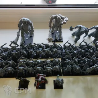 Описание картинки Warhammer:The Old World Армия орков 2000 очков от User37833 по цене 11 000руб | Свободный Рынок Миниатюр - СРМ