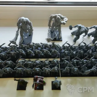 Описание картинки Warhammer:The Old World Армия орков 2000 очков от User37833 по цене 11 000руб | Свободный Рынок Миниатюр - СРМ