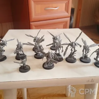 Описание картинки Kill team: Vespid Stingwings от Voltest387 по цене 3 500руб | Свободный Рынок Миниатюр - СРМ