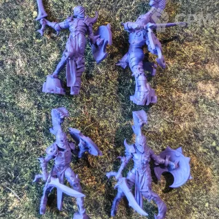 Описание картинки Chaos Warriors of Slaanesh / Myrmidesh Painbringers от _Revan по цене 1 400руб | Свободный Рынок Миниатюр - СРМ