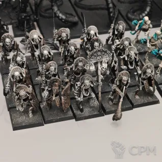 Описание картинки Tomb kings army от  по цене 26 000руб | Свободный Рынок Миниатюр - СРМ