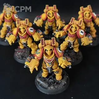Описание картинки Imperial Fists in Gravis Armour + битцы, декали и кубики от Nalivainen по цене 40 000руб | Свободный Рынок Миниатюр - СРМ