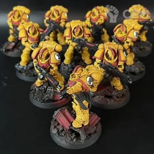 Описание картинки Imperial Fists in Gravis Armour + битцы, декали и кубики от Nalivainen по цене 40 000руб | Свободный Рынок Миниатюр - СРМ
