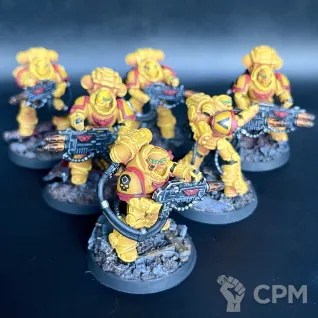 Описание картинки Imperial Fists in Gravis Armour + битцы, декали и кубики от Nalivainen по цене 35 000руб | Свободный Рынок Миниатюр - СРМ