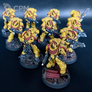 Описание картинки Imperial Fists in Gravis Armour + битцы, декали и кубики от Nalivainen по цене 35 000руб | Свободный Рынок Миниатюр - СРМ