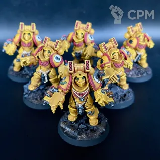 Описание картинки Imperial Fists in Gravis Armour + битцы, декали и кубики от Nalivainen по цене 35 000руб | Свободный Рынок Миниатюр - СРМ