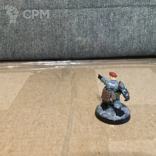 Описание картинки CADIAN CASTELLAN от User57488 по цене 1 300руб | Свободный Рынок Миниатюр - СРМ