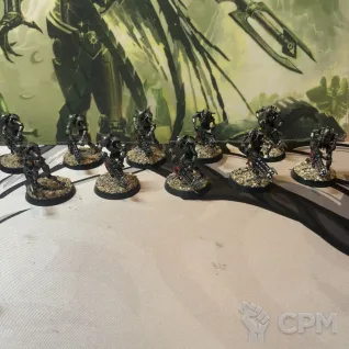 Описание картинки Necron Warriors 10 шт. от MishaTsoi по цене 1 500руб | Свободный Рынок Миниатюр - СРМ