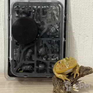 Описание картинки Primaris Ancient от Lightman по цене 4 000руб | Свободный Рынок Миниатюр - СРМ