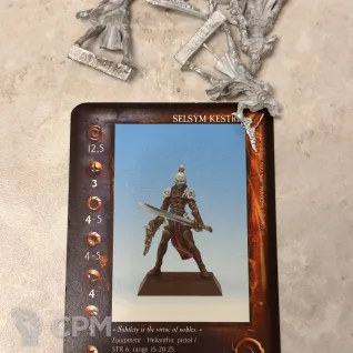 Описание картинки Selsym Kestrel от Uselink по цене 2 400руб | Свободный Рынок Миниатюр - СРМ