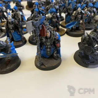 Описание картинки Армия Adeptus Custodes от Cyrill по цене 10 000руб | Свободный Рынок Миниатюр - СРМ