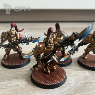 Описание картинки Warhammer 40K Custodes (можно по отдельности) от User63377 по цене 13 000руб | Свободный Рынок Миниатюр - СРМ