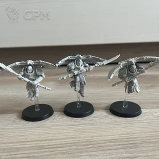 Описание картинки Warhammer 40K Custodes (можно по отдельности) от User63377 по цене 13 000руб | Свободный Рынок Миниатюр - СРМ