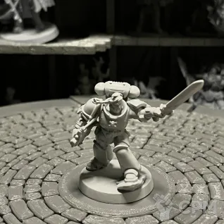 Описание картинки Warhhamer 40k Grey Hunters от Houston Program по цене 700руб | Свободный Рынок Миниатюр - СРМ