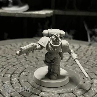 Описание картинки Warhhamer 40k Grey Hunters от Houston Program по цене 700руб | Свободный Рынок Миниатюр - СРМ