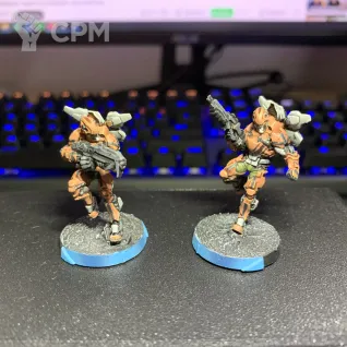 Описание картинки Tiger Soldier от Hound по цене 2 500руб | Свободный Рынок Миниатюр - СРМ