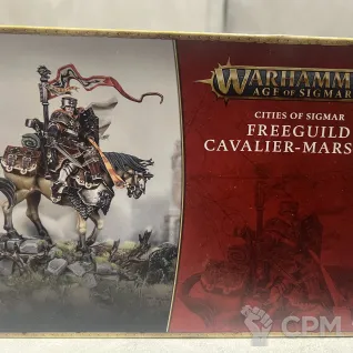 Описание картинки Freeguild Cavalier Marshal от ABersenev по цене 5 000руб | Свободный Рынок Миниатюр - СРМ