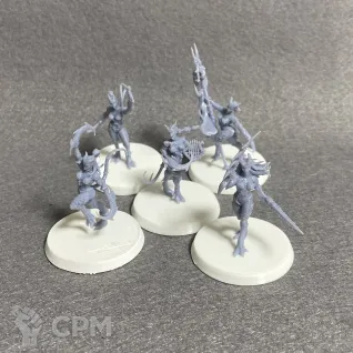 Описание картинки Daemonettes of Slaanesh от Zorgen по цене 700руб | Свободный Рынок Миниатюр - СРМ