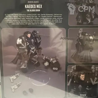 Описание картинки Raven Guard Kaedes Nex от ABersenev по цене 5 000руб | Свободный Рынок Миниатюр - СРМ
