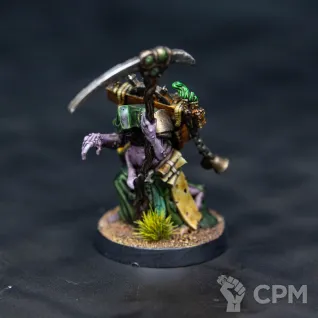 Описание картинки Rotbringer Sorcerer от Monger по цене 2 950руб | Свободный Рынок Миниатюр - СРМ