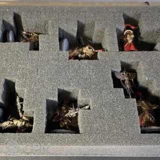 Описание картинки Custodian Guard и Allarus Custodians от Living Dead по цене 7 500руб | Свободный Рынок Миниатюр - СРМ