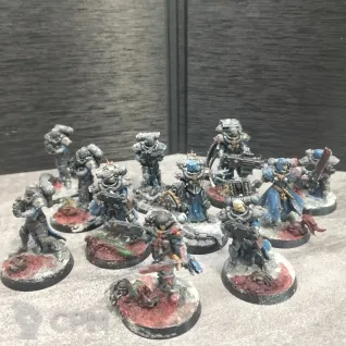 Описание картинки Battle Sisters Squad и Canoness от  Pirum aureum/ по цене 4 000руб | Свободный Рынок Миниатюр - СРМ