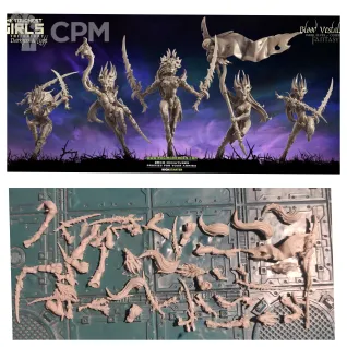 Описание картинки Blood vestals command от Old curiosity shop по цене 1 390руб | Свободный Рынок Миниатюр - СРМ