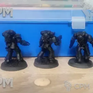 Описание картинки Assault Intercessors от Xero по цене 1 200руб | Свободный Рынок Миниатюр - СРМ