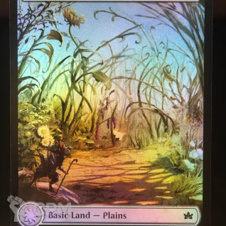Описание картинки Plains (BLB Full Art Foil) от Барахолка Баллиоза по цене 200руб | Свободный Рынок Миниатюр - СРМ