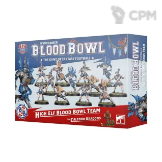 Описание картинки []ПРЕДЗАКАЗ High Elf Blood Bowl Team: The Caledor Dragons от MiniaturesFAN по цене 5 712руб | Свободный Рынок Миниатюр - СРМ