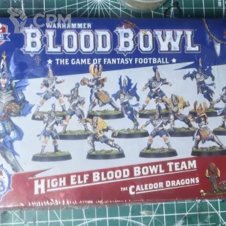 Описание картинки High Elf Blood Bowl Team от Strohkopf по цене 5 000руб | Свободный Рынок Миниатюр - СРМ