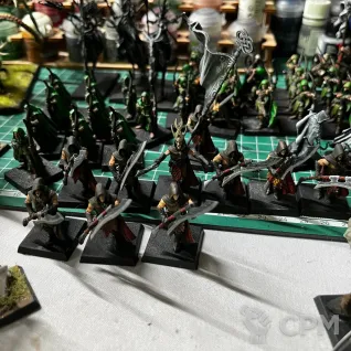 Описание картинки Армия wood elves warhammer old world от Argenston по цене 27 000руб | Свободный Рынок Миниатюр - СРМ