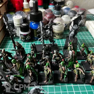 Описание картинки Армия wood elves warhammer old world от Argenston по цене 27 000руб | Свободный Рынок Миниатюр - СРМ