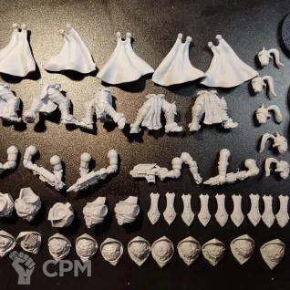 Описание картинки Sagittarum Kabuki от ССП по цене 1 300руб | Свободный Рынок Миниатюр - СРМ