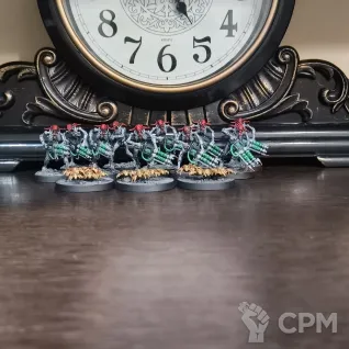 Описание картинки Novokh Necron Warriors Gauss Reapers + Canoptek Scarab Swarms от Flayedex по цене 2 500руб | Свободный Рынок Миниатюр - СРМ