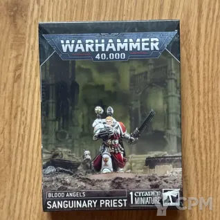 Описание картинки Sanguinary Priest от zurdo по цене 4 200руб | Свободный Рынок Миниатюр - СРМ