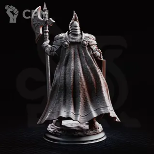 Описание картинки Elite Knight - Lars von Findros от PocketSized Prints по цене 300руб | Свободный Рынок Миниатюр - СРМ