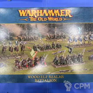 Описание картинки TOW: Wood Elf Realms Battalion от Akella по цене 18 000руб | Свободный Рынок Миниатюр - СРМ