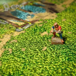 Описание картинки Игровое поле Age of kings от Строго по-Имперски по цене 1 468руб | Свободный Рынок Миниатюр - СРМ
