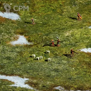 Описание картинки Игровое поле Vernal grass от Строго по-Имперски по цене 1 468руб | Свободный Рынок Миниатюр - СРМ