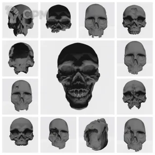 Описание картинки Skulls and heads от Стальные Небеса по цене 100руб | Свободный Рынок Миниатюр - СРМ