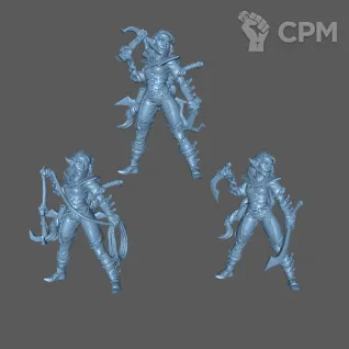 Описание картинки Эльф плут (Elf Rogue) от Formosa Printing по цене 200руб | Свободный Рынок Миниатюр - СРМ